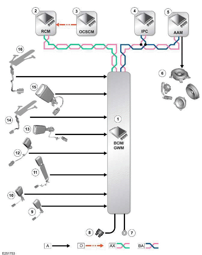 Seatbelt System